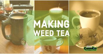 Making weed tea