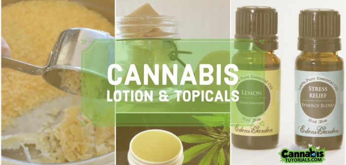 Cannabis lotion and topical use.