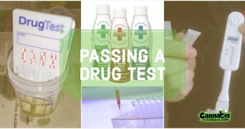 How to pass a drug test for work