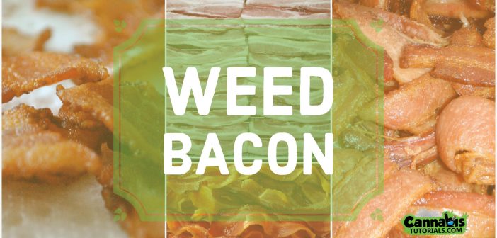 How to make weed bacon