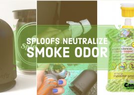 How to Make a Sploof | DIY Smoke Buddy