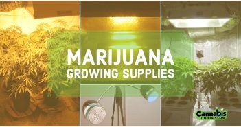 Popular marijuana growing supplies