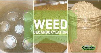 How and Why To Decarboxylate Weed - Weed Decarboxylation