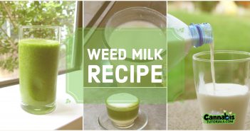 Weed milk recipe tutorial.