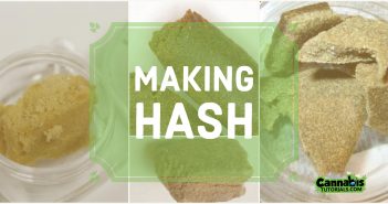 How to make hash cannabis tutorial.