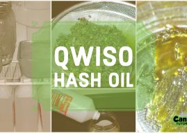 How to Make QWISO Hash Oil | Qwiso Tutorial