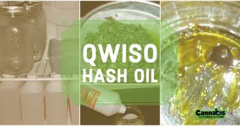 How to make qwiso hash oil.