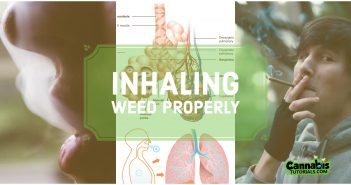 Inhaling weed tutorial