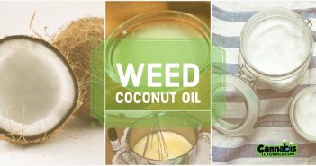 How to make cannabis coconut oil