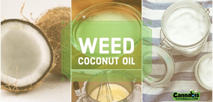 How to make cannabis coconut oil