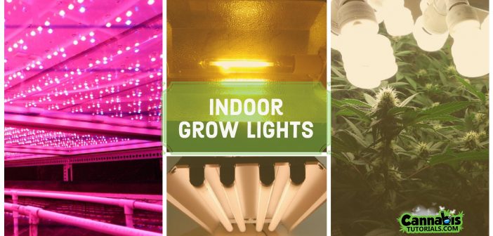 The best indoor grow lights