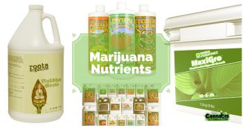 Marijuana nutrients tutorials