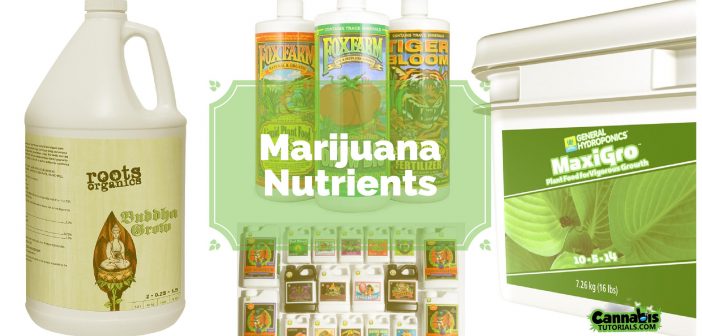 Marijuana nutrients tutorials