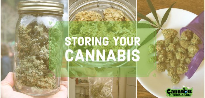 How to properly store cannabis