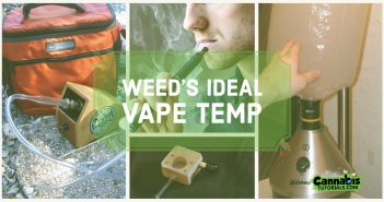 Weed's ideal vape temperature