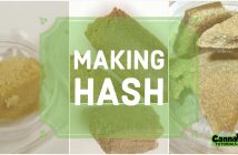 How to make hash cannabis tutorial.