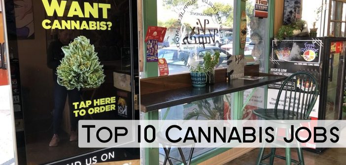 best cannabis jobs 2020