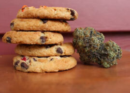 Does Weed Have Calories? The Guilt-Free Answer