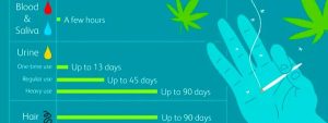 how long does weed stay in your body chart