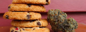 cannabis cooking cookies