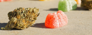 edible gummy on a table next to a nug of weed